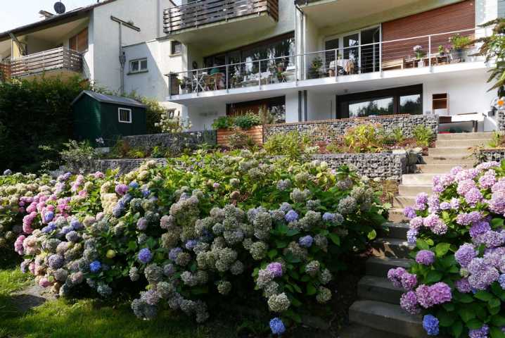Hortensienbepflanzung mit Treppe fr Garten in Hanglage
